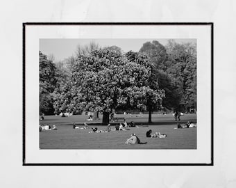 Clissold Park London Black And White Photography Print