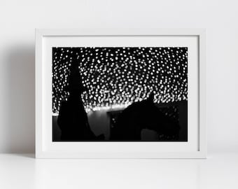 Duke Of Wellington Glasgow Print Photography