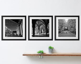 May include: Three black and white framed photographs of architectural structures. The first photo shows a street scene at night with string lights overhead. The second photo shows a vaulted hallway with columns. The third photo shows a path through a grove of trees.