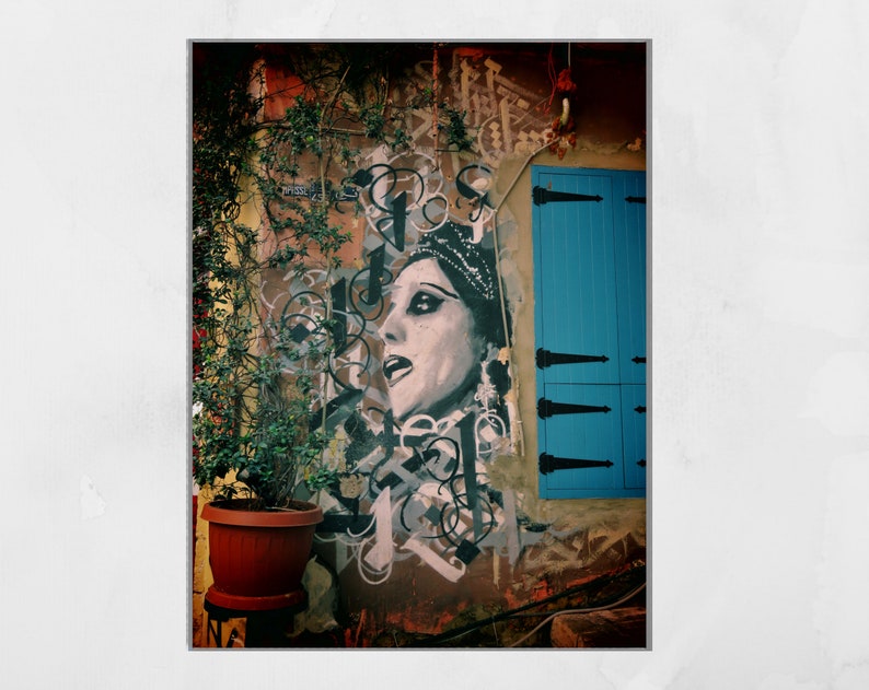 May include: A black and white mural of a woman's face with a blue door in the background. The mural is painted on a brick wall with green vines growing up the side.