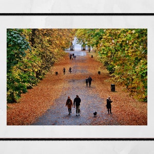 Glasgow Queen's Park Herbst Fotografie Druck Poster