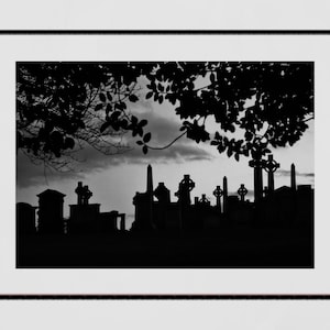 Glasgow Necropolis Graveyard Black And White Photography Poster