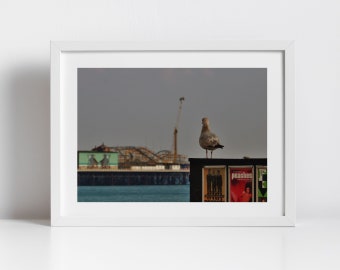 Brighton Palace Pier Photographie Seagull Art