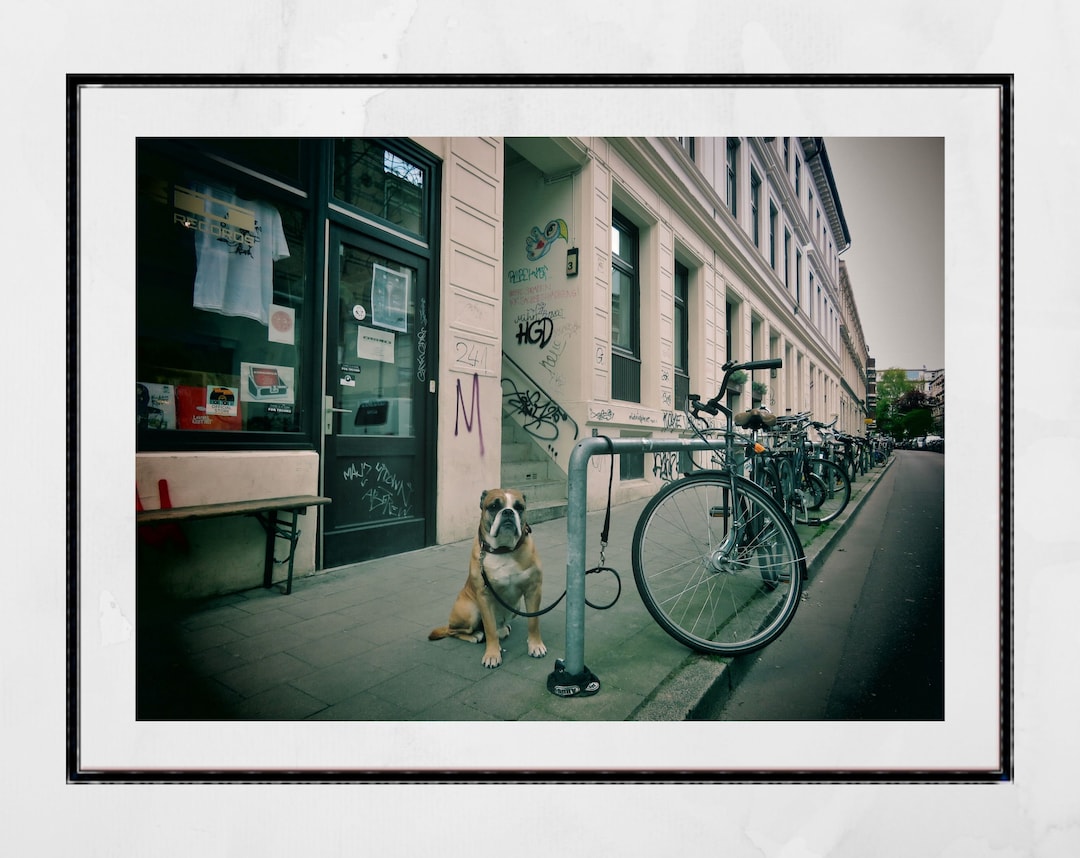 Hamburg St Pauli Dog Street Photography Print Poster Etsy