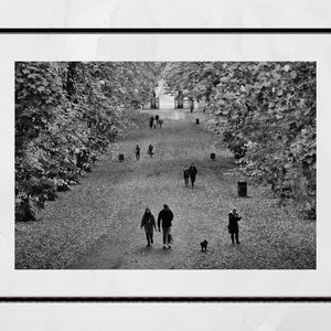 Glasgow Queen's Park Autunno Fotografia in bianco e nero Stampa poster
