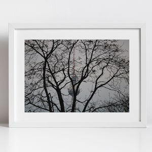 Berlin TV Tower Photography Print