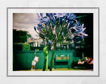 Wimbledon Tennis Photography Poster