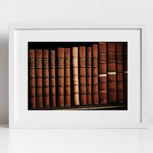 Bücherregal Drucken Bibliothek Trinität College Dublin Fotografie