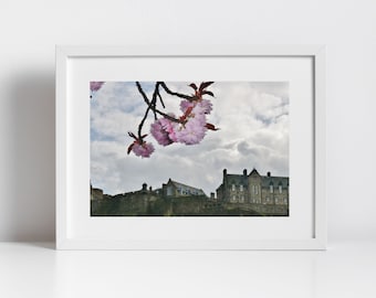 Edinburgh Castle Print Cherry Blossom Wall Art