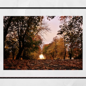 Herbst Glasgow Queen's Park Fotografie Druck