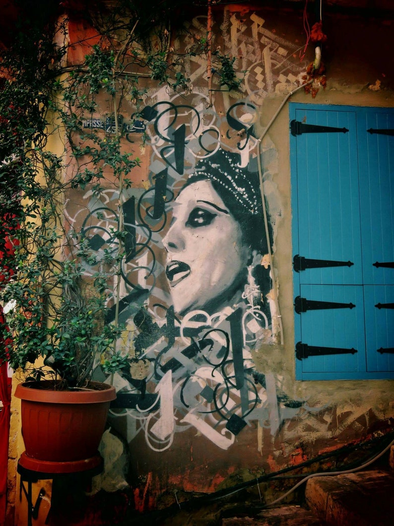 May include: A colorful street art mural with a woman's face painted in black and white. The mural is on a building with a blue door and a green plant in a brown pot.