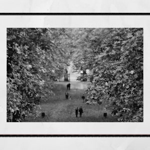 Glasgow Queen's Park Herbst Herbstlaub schwarz weiß Fotografie Druck Poster Wandkunst