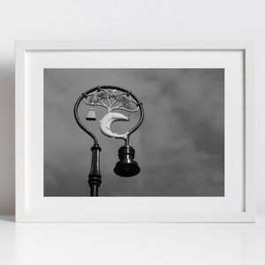 Glasgow Coat Of Arms Photography Print