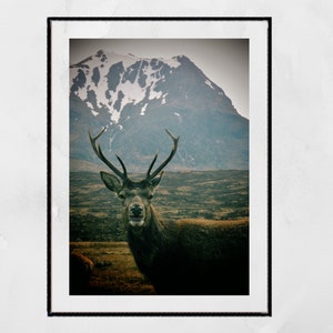 Glencoe Scotland Stag Print Wildlife Photography