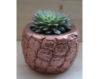 concrete pineapple etsy