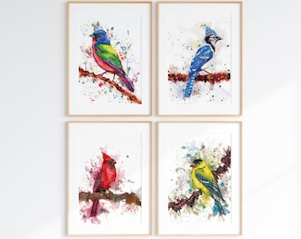 Set of 4 Bird Prints | Bird Paintings | Watercolor Birds | North American Birds | Colorful Birds | Bird Nursery Art by Rachel Marquardt Art