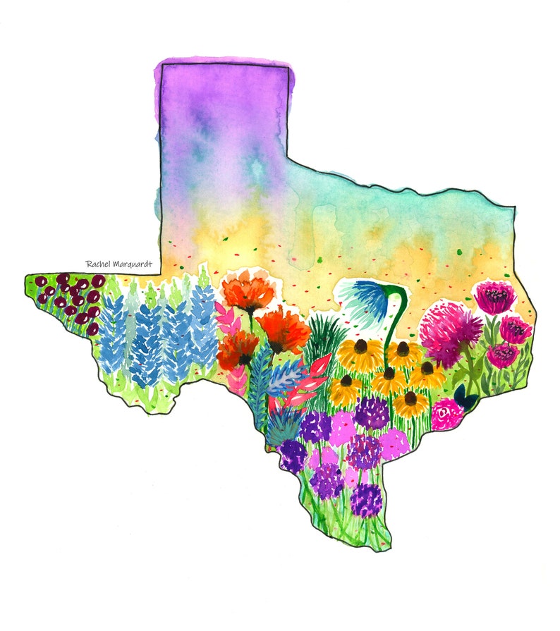Texas Magnet Texas Gift Idea Texas Decor Refrigerator Magnet Magnet of Texas by Rachel Marquardt Art image 3