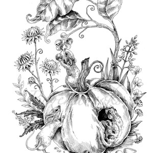 May include: Black and white illustration of three mice interacting with a large pumpkin. The pumpkin is surrounded by leaves, vines, and other plants. The mice are drawn in a realistic style, with detailed fur and whiskers.