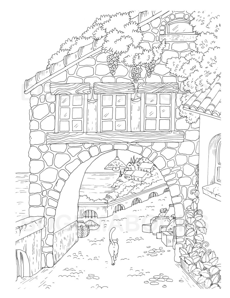 Puede incluir: Un dibujo en blanco y negro de un arco de piedra con vista a un peque&ntilde;o pueblo y el oc&eacute;ano. Un gato camina por el arco.