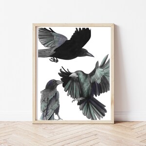 Crows Art Print