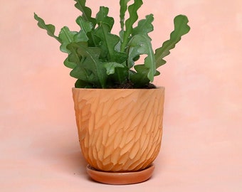 Terracotta flower pot "Flakes" + assorted plate