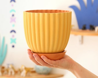 Big terracotta pot "Tuli" yellow + assorted plate