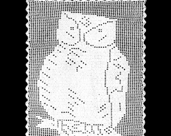 Owl Panel Filet Crochet Pattern