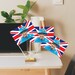 Queens Platinum Jubilee Hand Flag Bunting Banner decorations decor