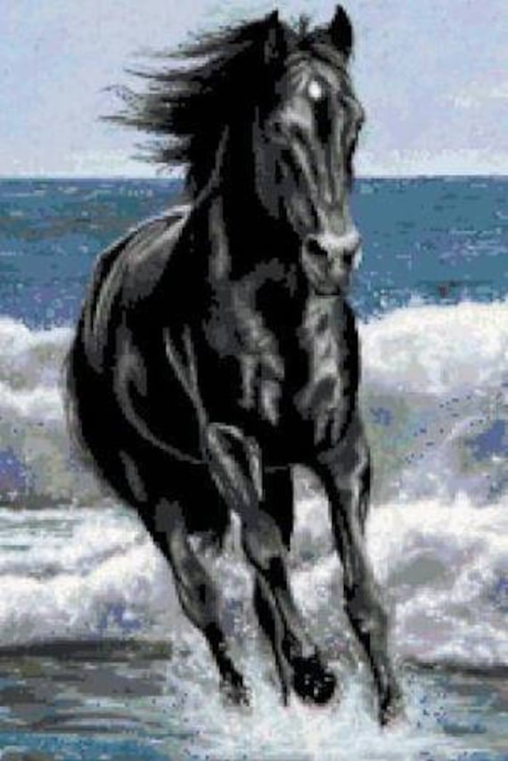 Black Horse Anciens Et Reunions