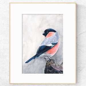 Op de afbeelding: Een ingelijste aquarel van een vogel met een zwarte kop, grijze rug en rode borst. De vogel zit op een bruine tak tegen een zachte, lichte achtergrond. Het frame heeft een lichte houtkleur.