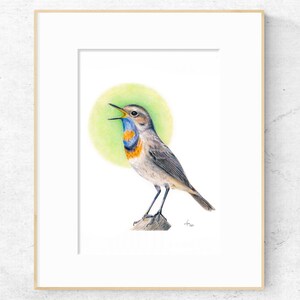 May include: Framed watercolor print of a Bluethroat bird. The bird has a blue and orange throat, gray wings, and is perched on a small rock. A green halo is behind the bird. The frame is a light wood color.