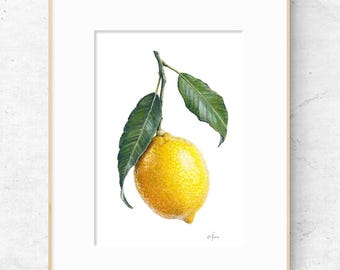 Lemon Branch Fine Art Print, Watercolor Botanical Painting, Kitchen Decor, Citrus Fruit Illustration, (A5/A4)