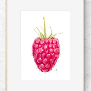 Raspberry art print, watercolor raspberry print, botanical berry art, berries print, botanical art, kitchen art