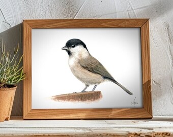 Marsh Tit art print, Small bird art print, marshtit print, Ornithology art, Poecile palustris print, bird print