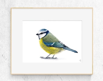 Pimpelmees Fine Art Print, aquarel vogels schilderij, illustratie ornithologie, (A5/A4)
