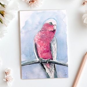 Cartão postal, Cartão postal de arte, Cartão postal com cacatua Galah, cartão postal com pássaro, cartão postal aquarela, Cartão postal, Cacatua aquarela