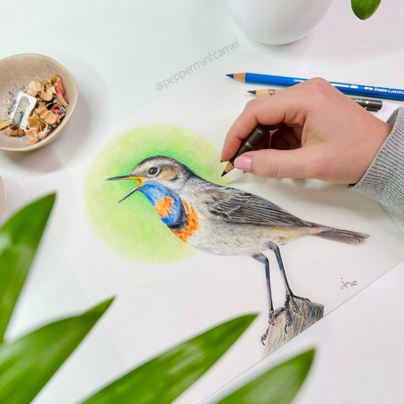 May include: A detailed colored pencil drawing of a bird with a blue throat and orange chest, perched on a wooden stump. The bird is set against a green circular background. The artist's hand is holding a pencil, adding details to the artwork. The image is signed.