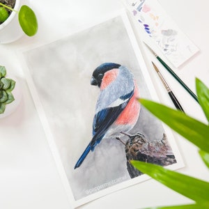 Op de afbeelding: Waterverfschilderij van een appelvink op een tak. De vogel heeft een zwarte kop, een grijze rug, een rode borst en blauwe vleugels. Het kunstwerk staat tegen een zachte grijze achtergrond, met penselen en een palet zichtbaar.
