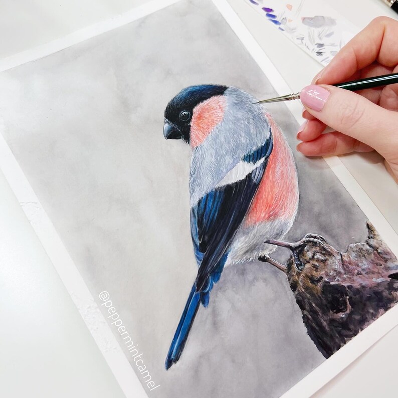 Op de afbeelding: Een aquarel schilderij van een appelvink op een tak. De vogel heeft een zwarte kop, een grijze rug en een rode borst. De hand van een kunstenaar houdt een penseel vast en voegt details toe aan de veren van de vogel. Het kunstwerk is gesigneerd met "@peppermintcamel".