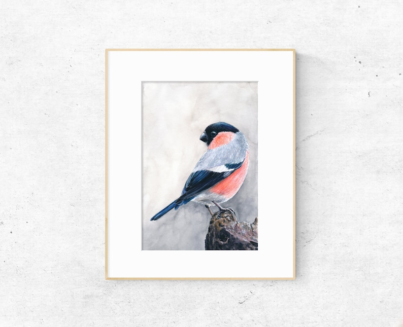 Op de afbeelding: Een ingelijste aquarel van een vogel met een zwarte kop, grijze rug en rode borst. De vogel zit op een bruine tak tegen een zachte, lichte achtergrond. Het frame heeft een lichte houtkleur.