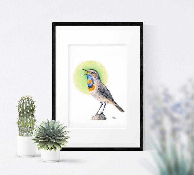 May include: A framed watercolor print of a bird with a blue throat and orange chest, perched on a rock. The bird is set against a green circular background. The artwork is in a black frame and white matting.