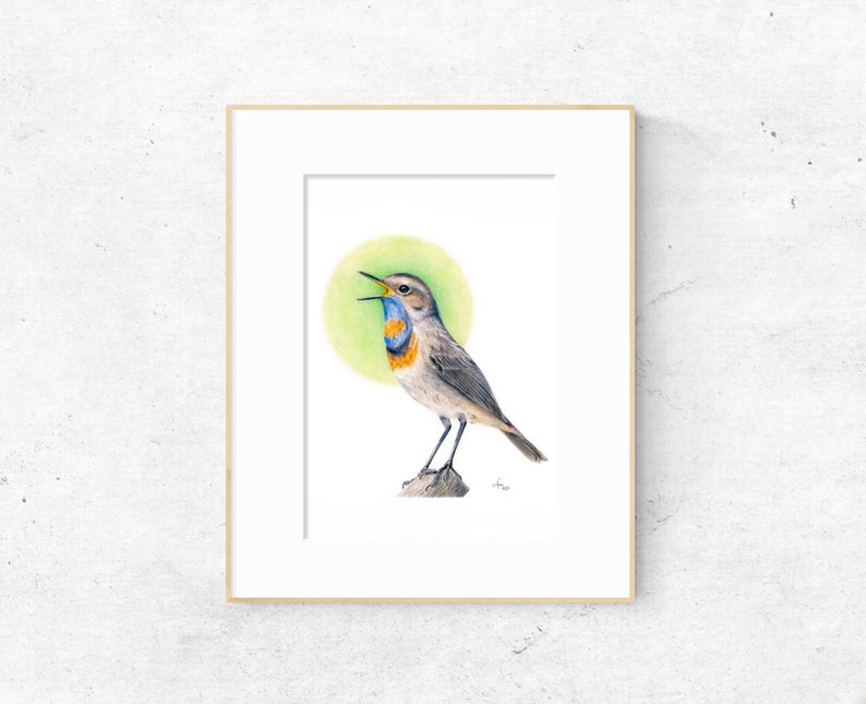 May include: Framed watercolor print of a Bluethroat bird. The bird has a blue and orange throat, gray wings, and is perched on a small rock. A green halo is behind the bird. The frame is a light wood color.