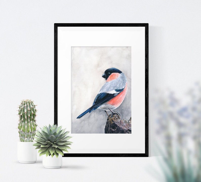 Op de afbeelding: Ingelijste aquarelprint van een appelvink. De vogel heeft een zwarte kop, grijze rug, rode borst en blauwe vleugels en staart. Hij zit op een kleine tak tegen een zachte, neutrale achtergrond. Het kunstwerk is in een zwarte lijst.