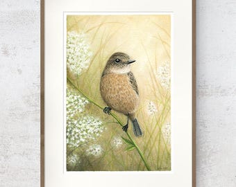 Stonechat Bird Artwork, Fine Art print, Meadow Wildlife, Signed Limited Edition Collectors Item