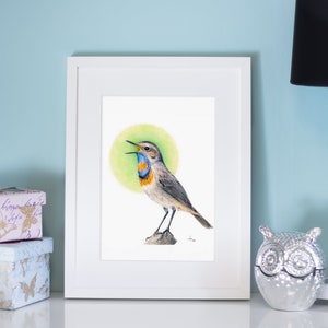 May include: A framed watercolor print of a Bluethroat bird with a green background. The bird has a blue throat, orange chest, and gray and brown feathers. The artwork is displayed on a white table with decorative boxes and a lamp.