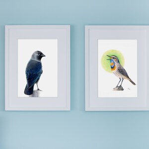 May include: Two framed watercolor bird prints. One features a dark blue bird perched on a post. The other depicts a bird with a blue and orange throat, set against a green circular background. Both are in white frames.