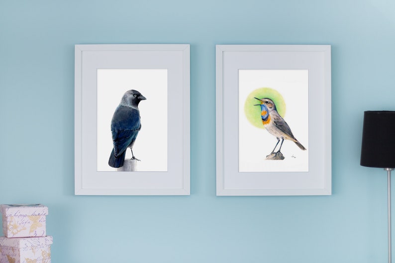 May include: Two framed watercolor bird prints. One features a dark blue bird perched on a post. The other depicts a bird with a blue and orange throat, set against a green circular background. Both are in white frames.