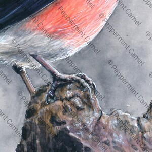 Op de afbeelding: Waterverfschilderij van een vogel die op een tak zit. De vogel heeft rode, witte en zwarte veren. De tak is bruin en getextureerd, met de klauwen van de vogel die hem vastgrijpen. De achtergrond is zachtgrijs.