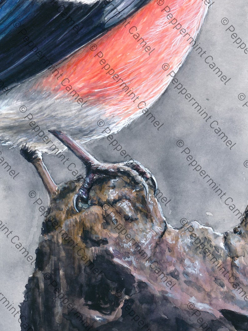 Op de afbeelding: Waterverfschilderij van een vogel die op een tak zit. De vogel heeft rode, witte en zwarte veren. De tak is bruin en getextureerd, met de klauwen van de vogel die hem vastgrijpen. De achtergrond is zachtgrijs.
