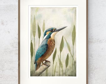 Kingfisher art work, Fine art print, Limited edition collectors item